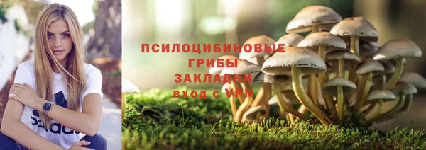 винт Абинск
