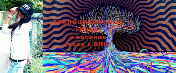 apvp Алексин